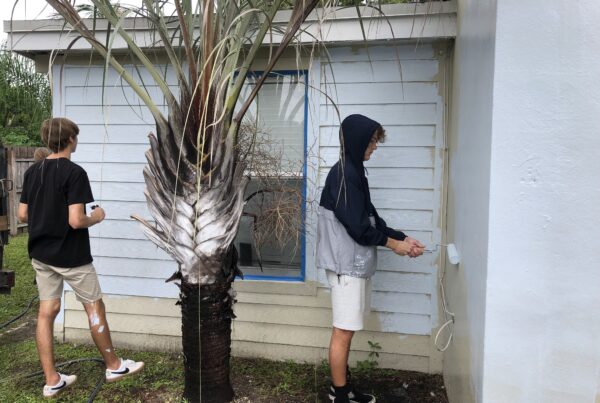 The Homeless Project Homes United Children Helping The Homeless Painting houses