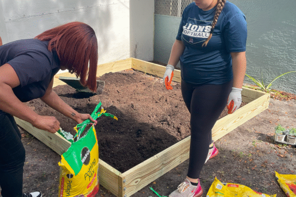 Harvest day isn’t just about food—it’s about celebrating progress