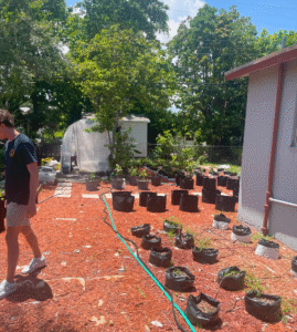 HomesUnited Gardens Community greenhouse needed