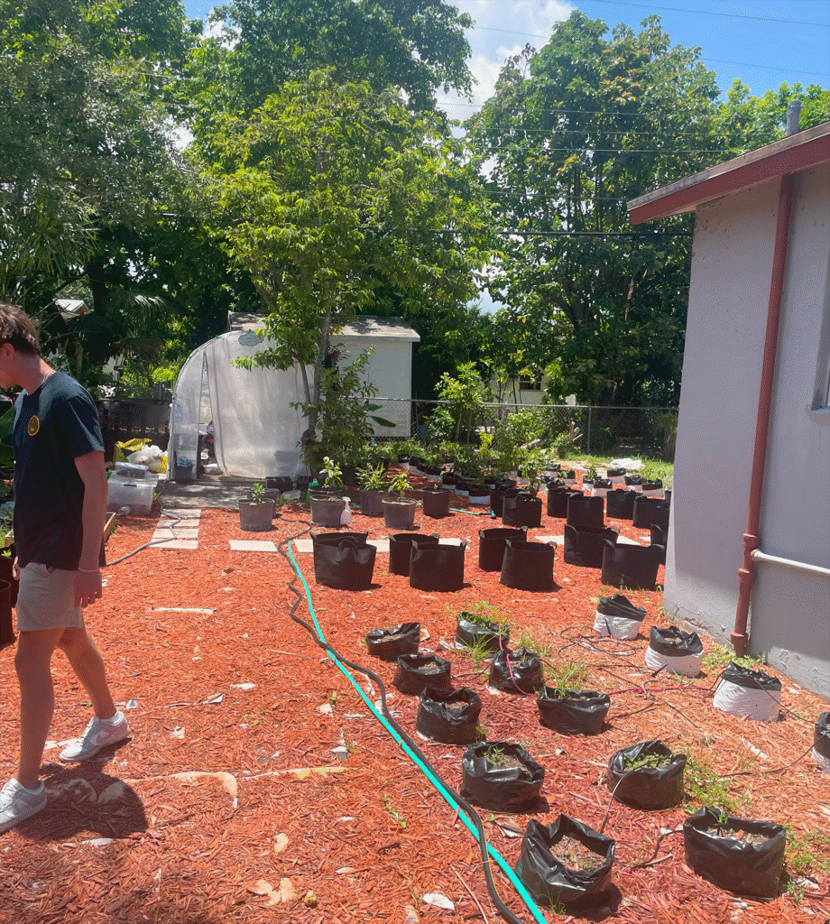 HomesUnited Gardens Community greenhouse needed